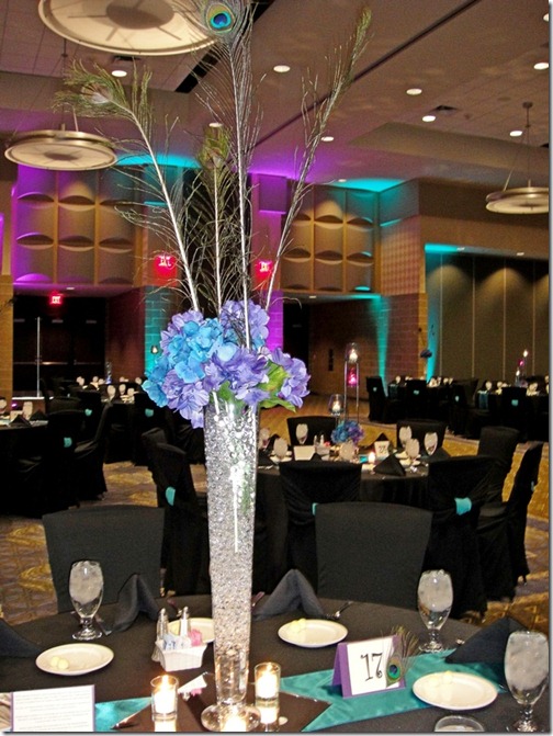 Black Tie provided turquoise and purple uplighting to accentuate and enhance